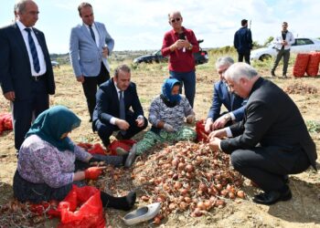 Tekirdağ Soğanı Coğrafi İşaret Aldı!