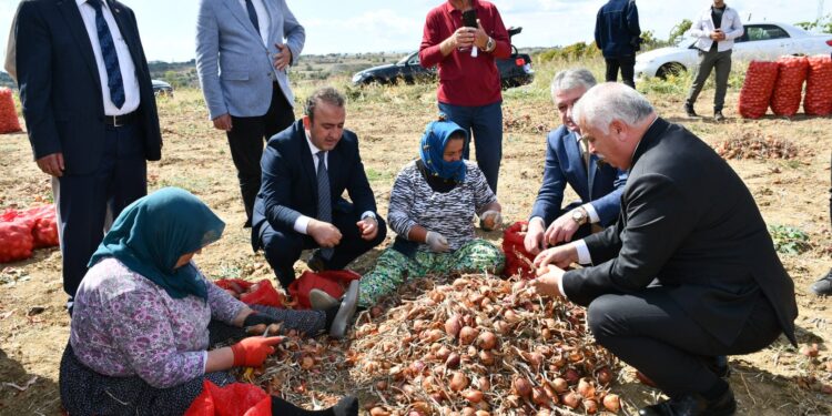 Tekirdağ Soğanı Coğrafi İşaret Aldı!