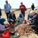 Tekirdağ Soğanı Coğrafi İşaret Aldı!