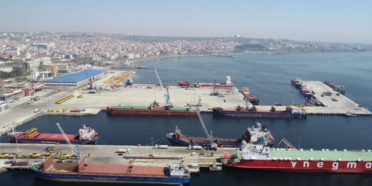 Mahkeme, ÇED Kararını Hukuka Aykırı Buldu!  “Telafisi İmkansız Zararlar Vereceği Tabiidir”